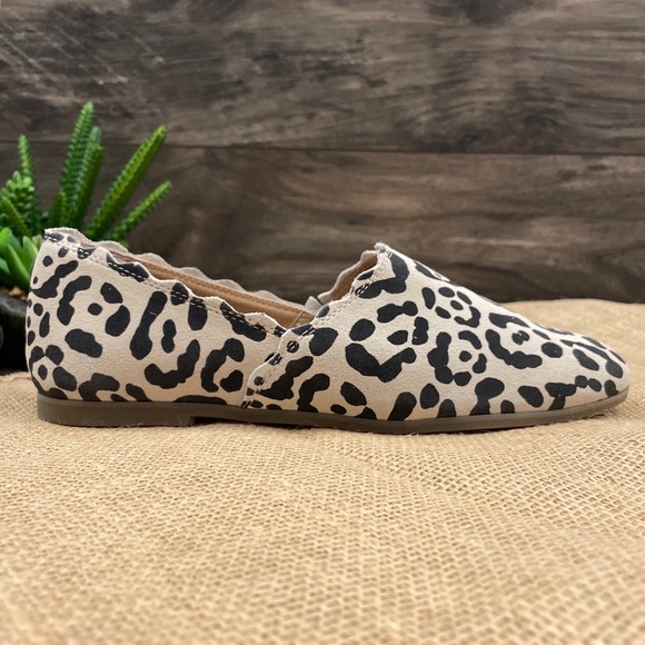 NIB Lucky Brand Cloeey Scalloped Leopard Flat - Picture 9 of 12